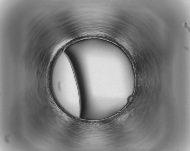 X0000094220979200710260950