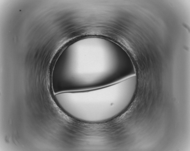 X0000094220984200710260950
