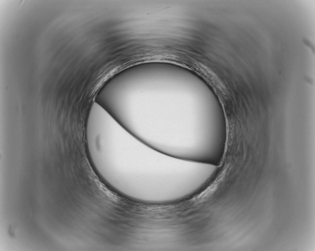 X0000094220985200710260950