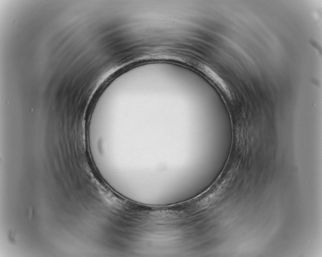 X0000094220988200710260950