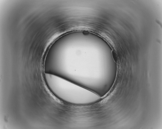 X0000094220989200710260950