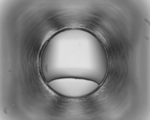 X0000094220990200710260950