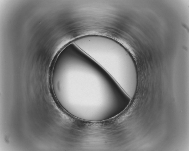 X0000094220991200710260950