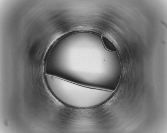 X0000094220992200710260950