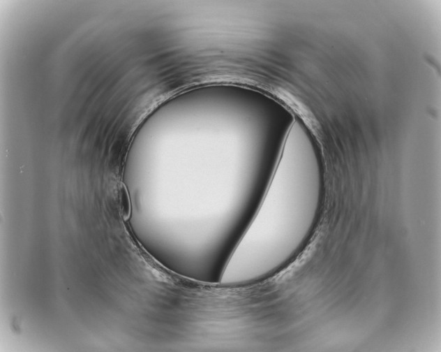 X0000094220993200710260950
