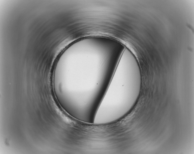 X0000094220995200710260950