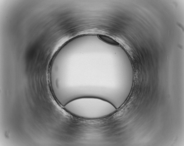 X0000094220998200710260950