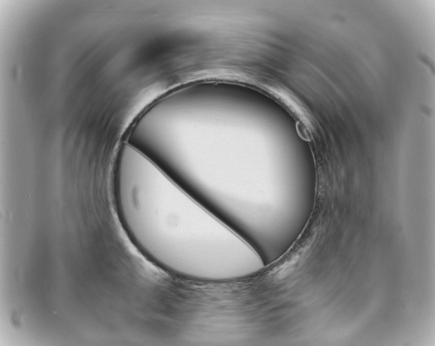 X0000094220999200710260950