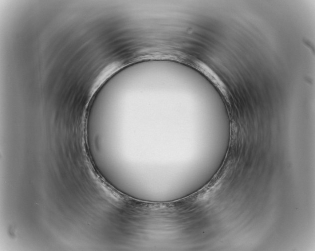 X0000094221002200710260950
