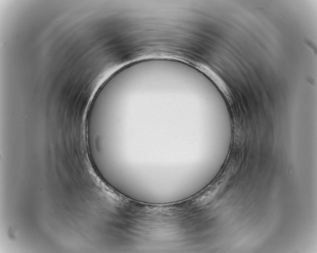 X0000094221004200710260950