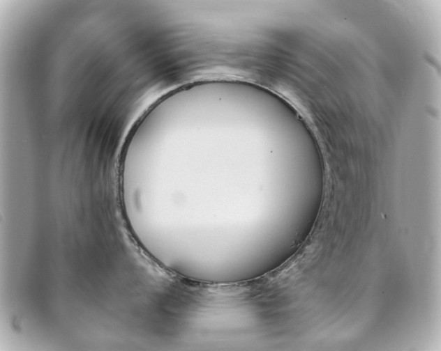 X0000094221008200710260949
