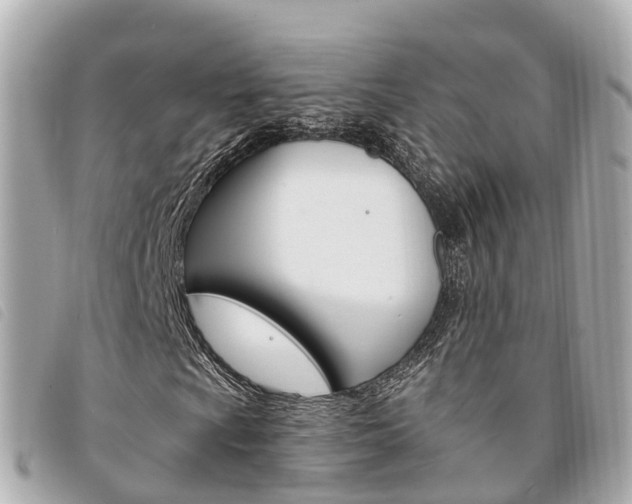 X0000094221009200710260949