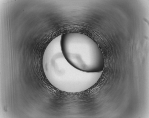 X0000094221010200710260949