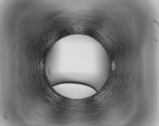 X0000094221011200710260949
