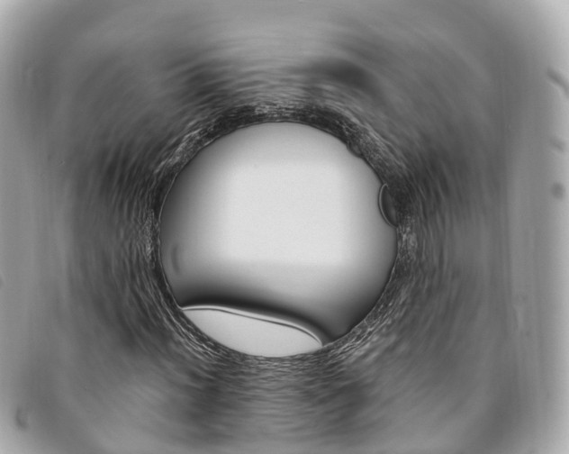 X0000094221012200710260949