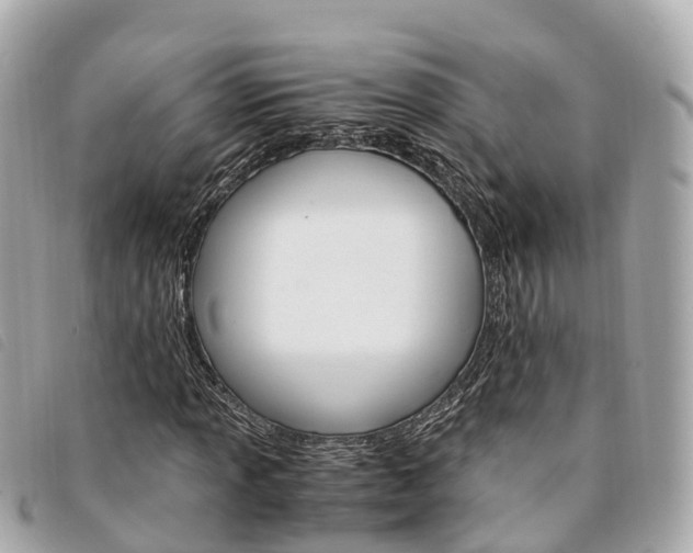 X0000094221013200710260949