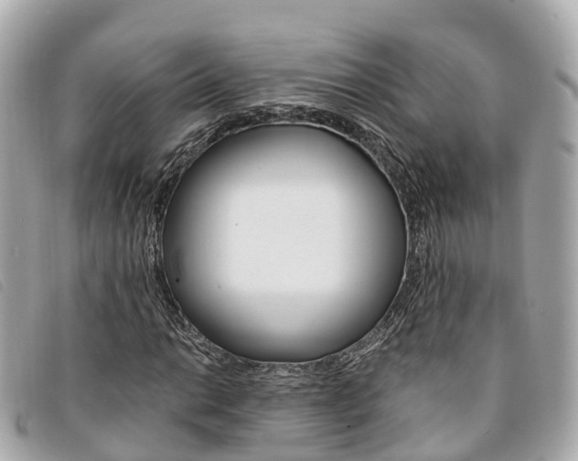 X0000094221014200710260949