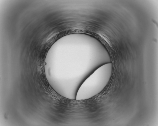 X0000094221015200710260949