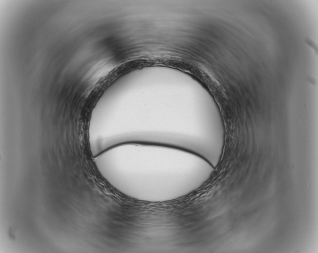X0000094221016200710260949