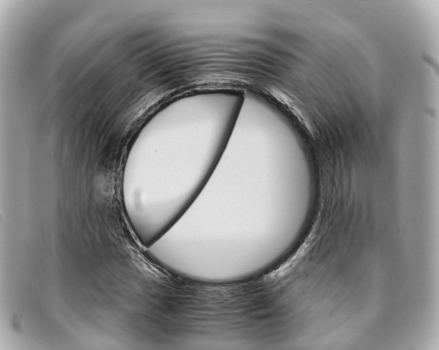 X0000094221017200710260949