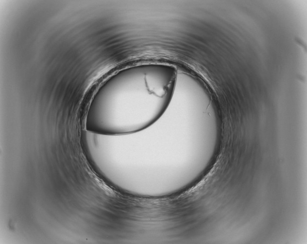 X0000094221018200710260949