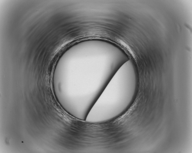X0000094221019200710260949