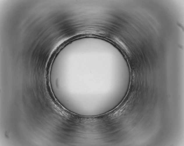 X0000094221020200710260949