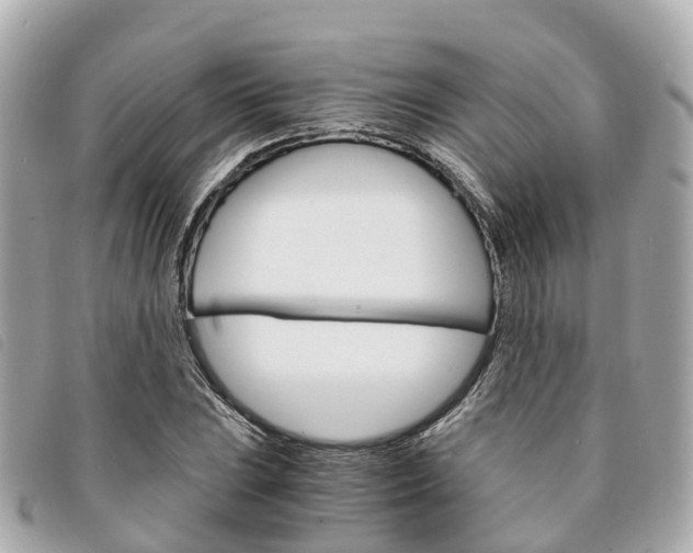X0000094221023200710260949