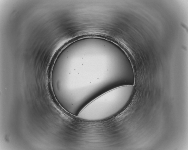 X0000094221024200710260949