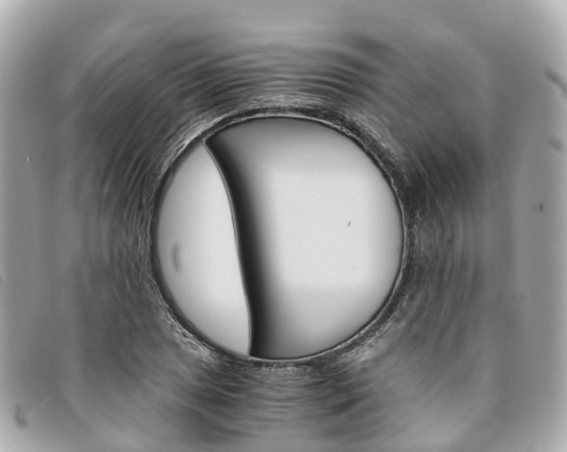 X0000094221025200710260949