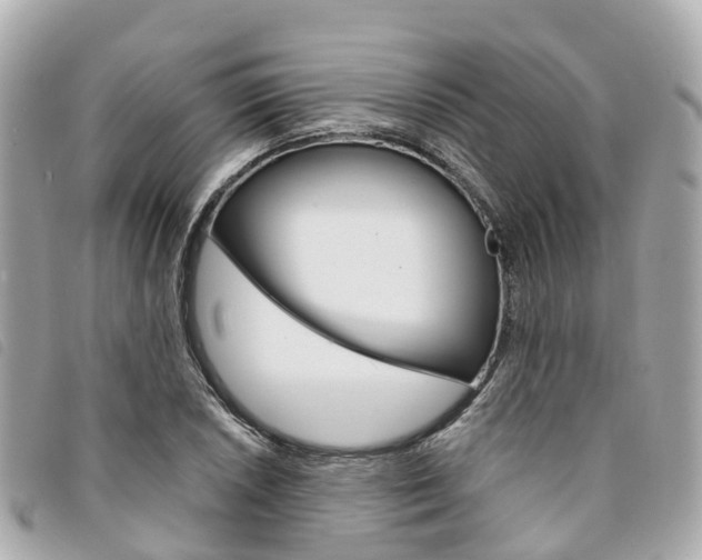 X0000094221026200710260949