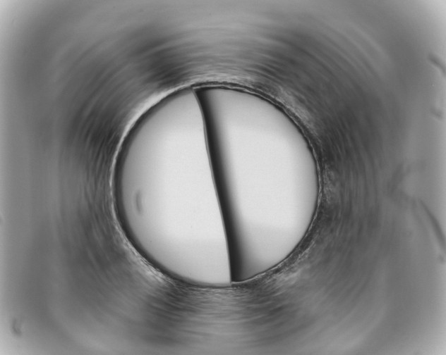 X0000094221028200710260949