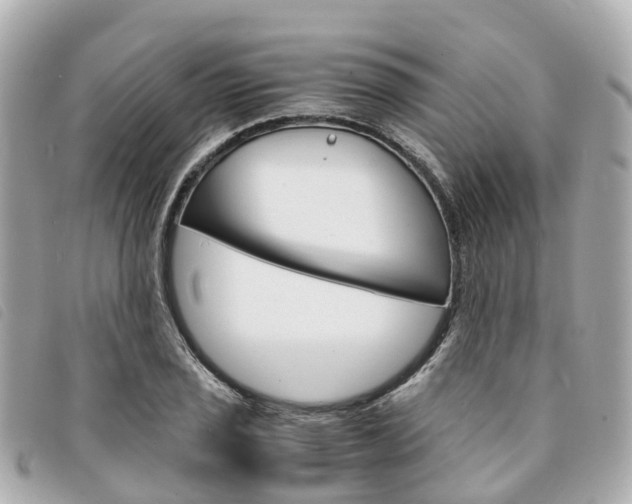 X0000094221029200710260949