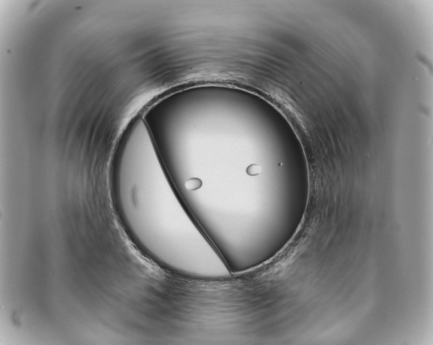 X0000094221030200710260949
