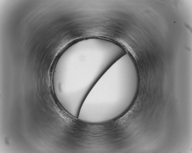 X0000094221031200710260949