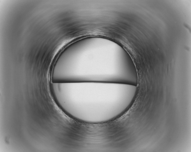 X0000094221032200710260949