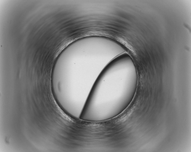 X0000094221033200710260949