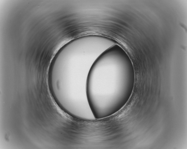 X0000094221034200710260949