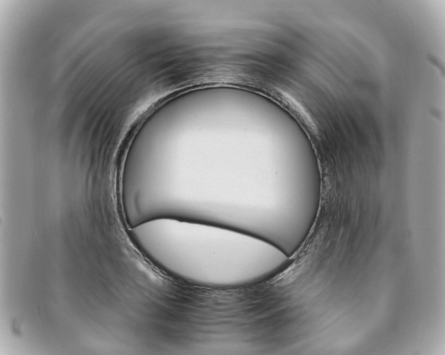X0000094221035200710260949