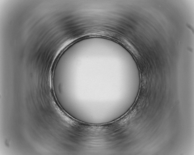 X0000094221036200710260949