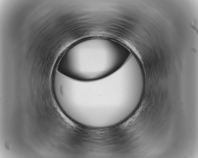 X0000094221037200710260949