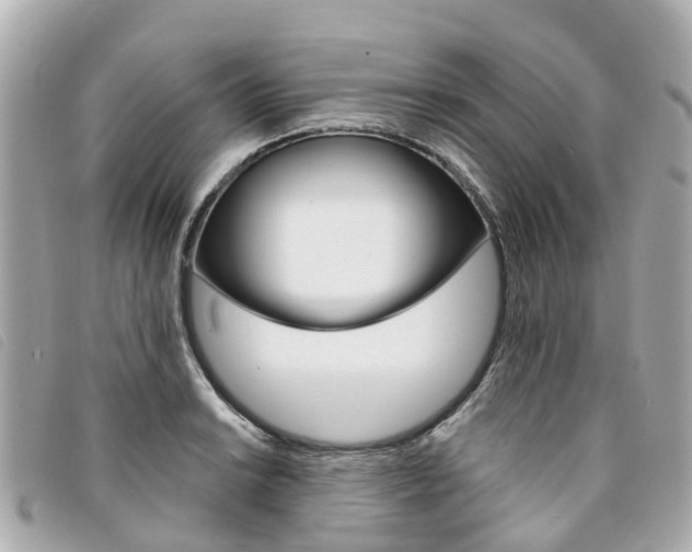 X0000094221038200710260949