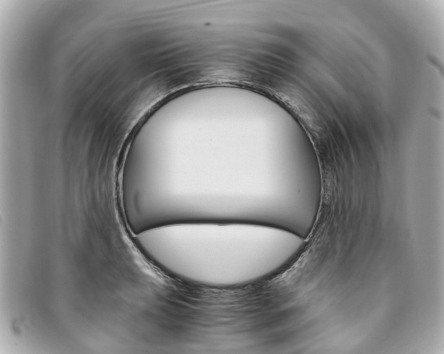 X0000094221039200710260949