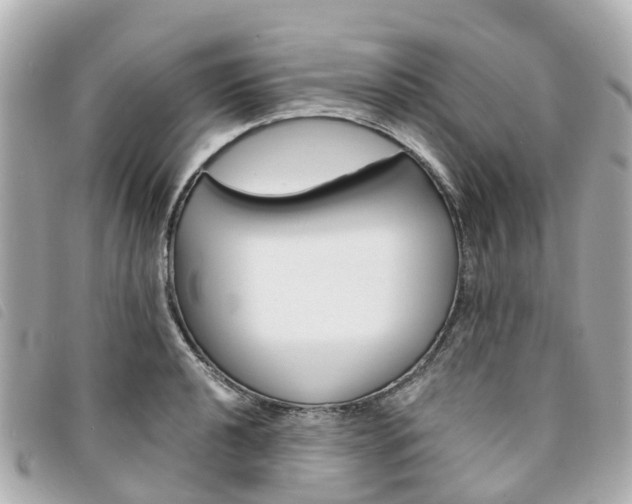 X0000094221040200710260949