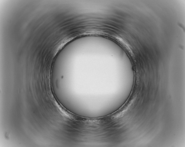 X0000094221041200710260949