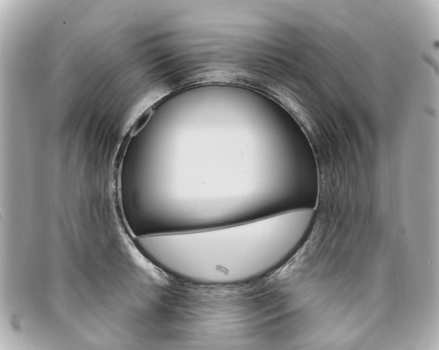 X0000094221042200710260949