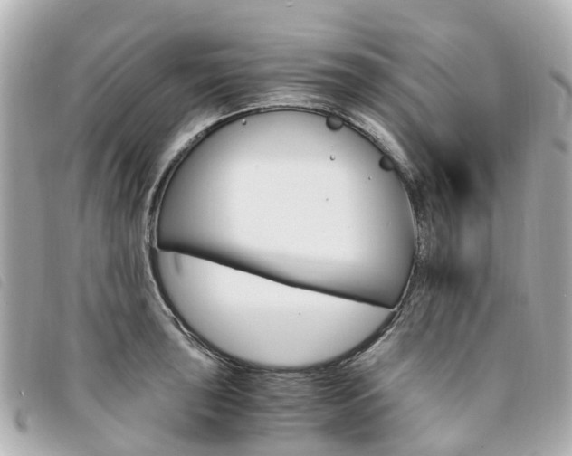 X0000094221043200710260949