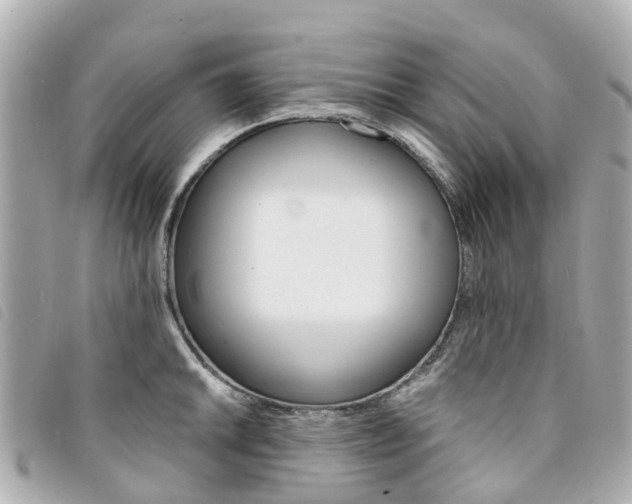 X0000094221046200710260949