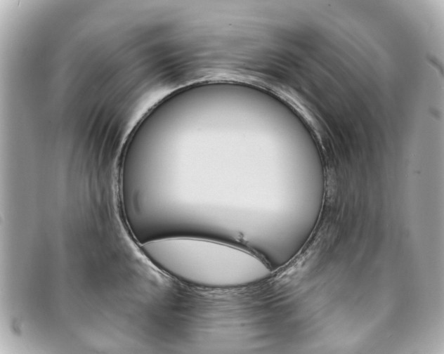 X0000094221048200710260949