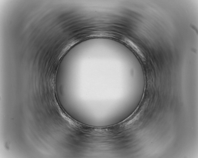 X0000094221049200710260949